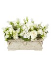 Planter w/ Assorted White Blooms