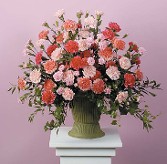 Carnations of Pink and Coral in a Planter Urn
