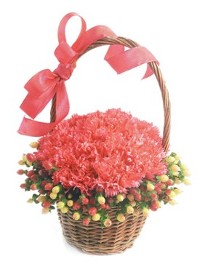 Carnation and Hypericum Basket
