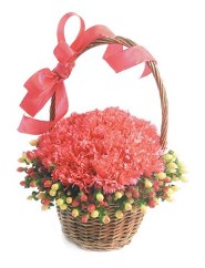 Pave Carnations w/ Hhypericum Collar in a Basket