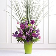 Vibrant Purples and Hot Greens Vase Arrangement 