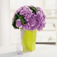 Purple Pave Carnations