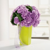 Get Well Pave Carnations in Geometric Vase