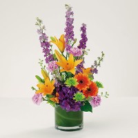 Bright and Bold Get Well Beauty in a Cylinder