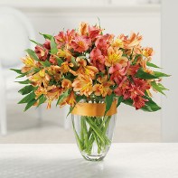 Awesome Alstromeria Get Well Vase